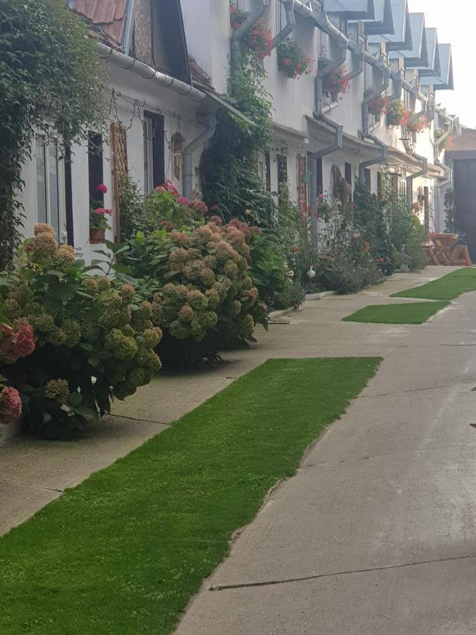 Pensiunea Casa Munteanu Râșnov Rasnov Exterior foto